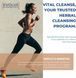 Ускоренное снижение веса премиум-класса Evolve Nutraceuticals Vital Cleanse 30 капсул 4384306527 фото 5