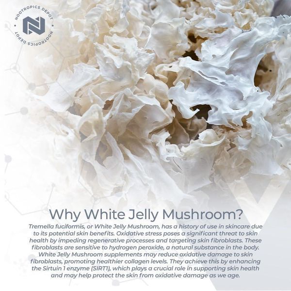 Добавка премиум-класса для глубокого омоложения увлажнения кожи Nootropics Depot White Jelly Mushroom Capsules 60 капсул 43819538807 фото