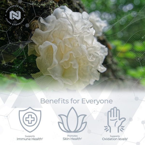 Добавка премиум-класса для глубокого омоложения увлажнения кожи Nootropics Depot White Jelly Mushroom Capsules 60 капсул 43819538807 фото