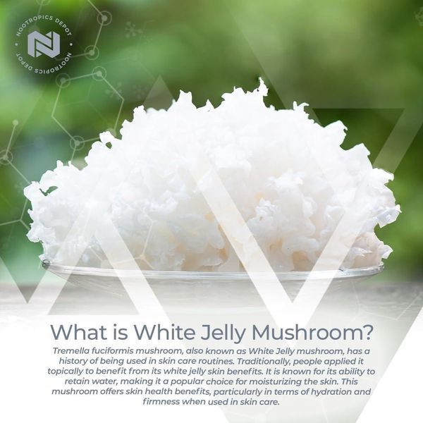 Добавка премиум-класса для глубокого омоложения увлажнения кожи Nootropics Depot White Jelly Mushroom Capsules 60 капсул 43819538807 фото