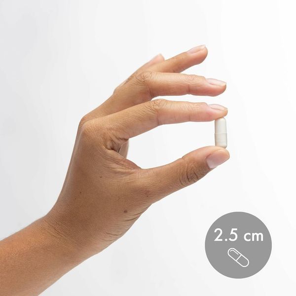 Dr. Mercola Magnesium L-Threonate 90 капсул (4384303972) 4384303972 фото