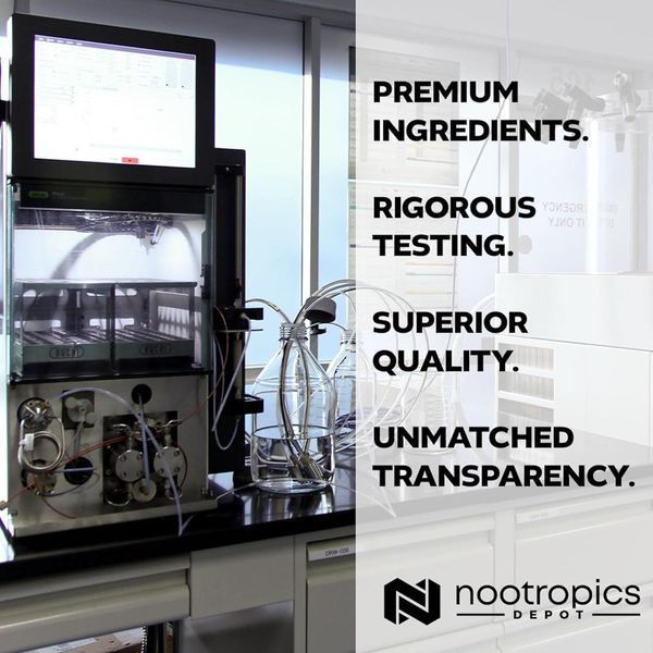 Добавка премиум-класса для глубокого омоложения увлажнения кожи Nootropics Depot White Jelly Mushroom Capsules 60 капсул 43819538807 фото