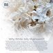 Добавка премиум-класса для глубокого омоложения увлажнения кожи Nootropics Depot White Jelly Mushroom Capsules 60 капсул 43819538807 фото 5