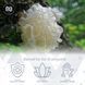 Добавка премиум-класса для глубокого омоложения увлажнения кожи Nootropics Depot White Jelly Mushroom Capsules 60 капсул 43819538807 фото 3