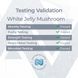 Добавка премиум-класса для глубокого омоложения увлажнения кожи Nootropics Depot White Jelly Mushroom Capsules 60 капсул 43819538807 фото 6