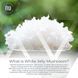 Добавка премиум-класса для глубокого омоложения увлажнения кожи Nootropics Depot White Jelly Mushroom Capsules 60 капсул 43819538807 фото 4