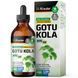 Домішка преміумкласу готу кола для мозку Bio Krauter Gotu Kola 118 мл 2724363371 фото 1