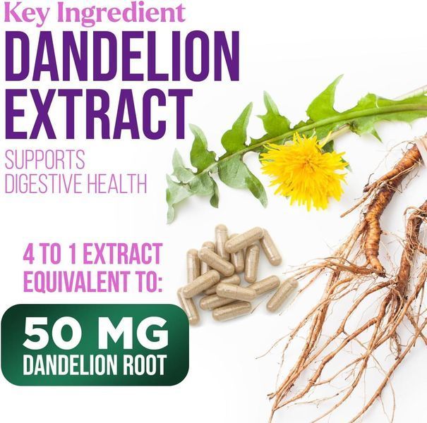 Добавка премиум-класса для очищения печени Nature's Nutrition Milk Thistle Extract 1000mg 120 капсул 4382967250 фото