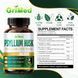 Превосходная формула, общее здоровье и контроль веса GriMed Psyllium Husk 90 капсул 4384306123 фото 3