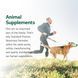Домішка преміумкласу для здоров'я кісток хатніх тварин Standard Process Inc. Canine Musculoskeletal Support 30 г 4384068280 фото 6
