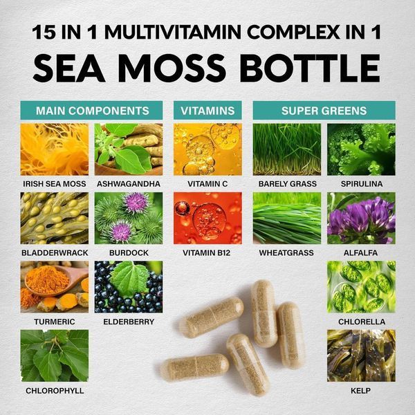 Премиум добавка для иммунитета, энергии и детоксикации Nutra Harmony Sea Moss Multivitamin 90 капсул 4384306022 фото