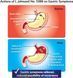 Естественная защита от расстройства желудка LABO Nutrition GASTRICEL 30 пакетов 4384306544 фото 6