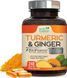 Добавка премиум-класса органический куркумин и имбирь Health Nutrition Naturals Turmeric & Ginger 2600mg 240 капсул 4382893099 фото 1