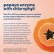 American Health Papaya Enzyme with Chlorophyll 250 таблеток (4384303886) 4384303886 фото 4