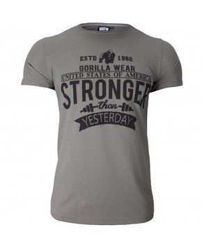 Футболка Gorilla Wear Hobbs T-shirt Gray 3XL (4384302211) 1437159306 фото