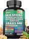 Мощная комплексная добавка Zoyava Sea Moss 7000mg Black Seed Oil 4000mg Ashwagandha 2000mg Turmeric 2000mg Bladderwrack 2000mg Burdock 2000mg & Ginger Vitamin C Vitamin D3 with Elderberry Manuka Dandelion Yellow Dock Chlorophyll ACV 60 капсул 4384305978 фото 1
