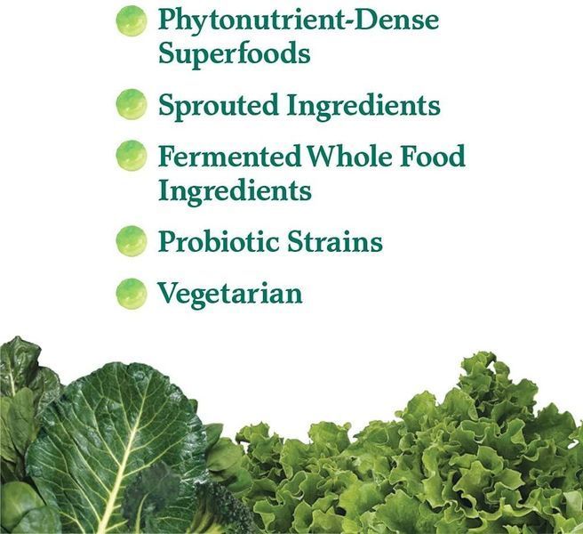 Garden of Life Perfect Food 600 г (4384304149) 4384304149 фото