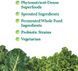 Garden of Life Perfect Food 600 г (4384304149) 4384304149 фото 3
