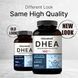 Добавка премиум-класса поддерживает уровень энергии обмен веществ NatureBell DHEA 100mg 240 капсул 4384307267 фото 2