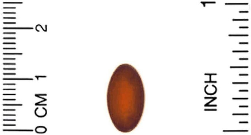 4384304150 фото