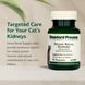Добавка преміумкласу підтримка нирок кішок Standard Process Inc. Feline Renal Support 90 таблеток 4384027834 фото 3