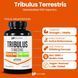 Домішка преміумкласу природна сила, енергія та витривалість Healthfare Tribulus Terrestris 32,500mg 200 капсул 2889089359 фото 2