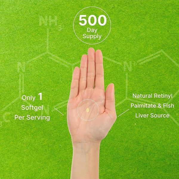 4384307225 фото