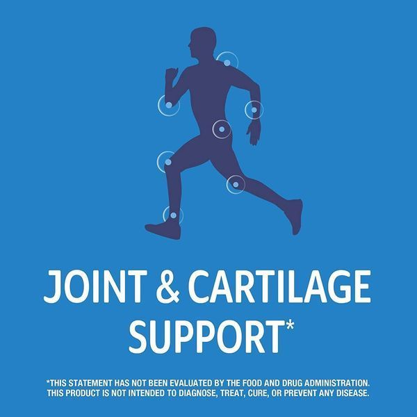 Хондропротектор 21st Century Arthri-Flex Advantage + Vitamin D3 120 таблеток (4384304057) 1573406511 фото